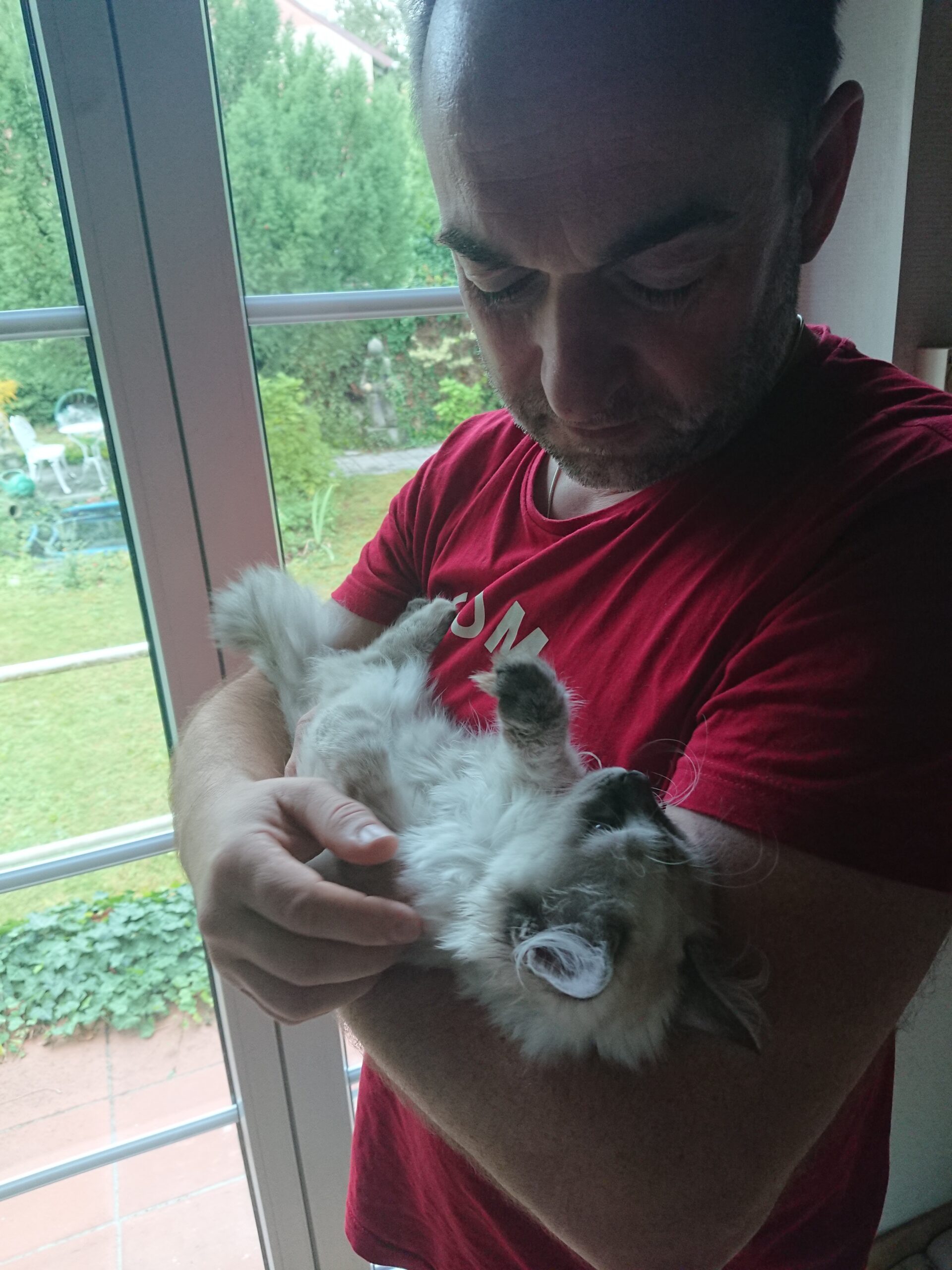 Therapiekatze Miri, tiergestützte Therapie, Praxis Gisela Schneider, MA